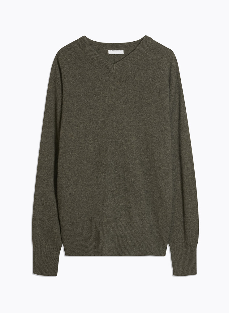 Long Sleeves V-neck Sweater in Cashmere