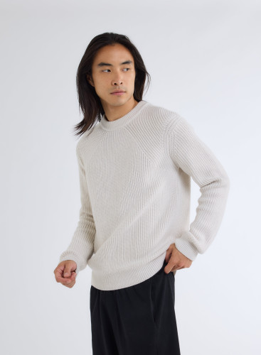 Long Sleeves Round neck Sweater in Merino wool